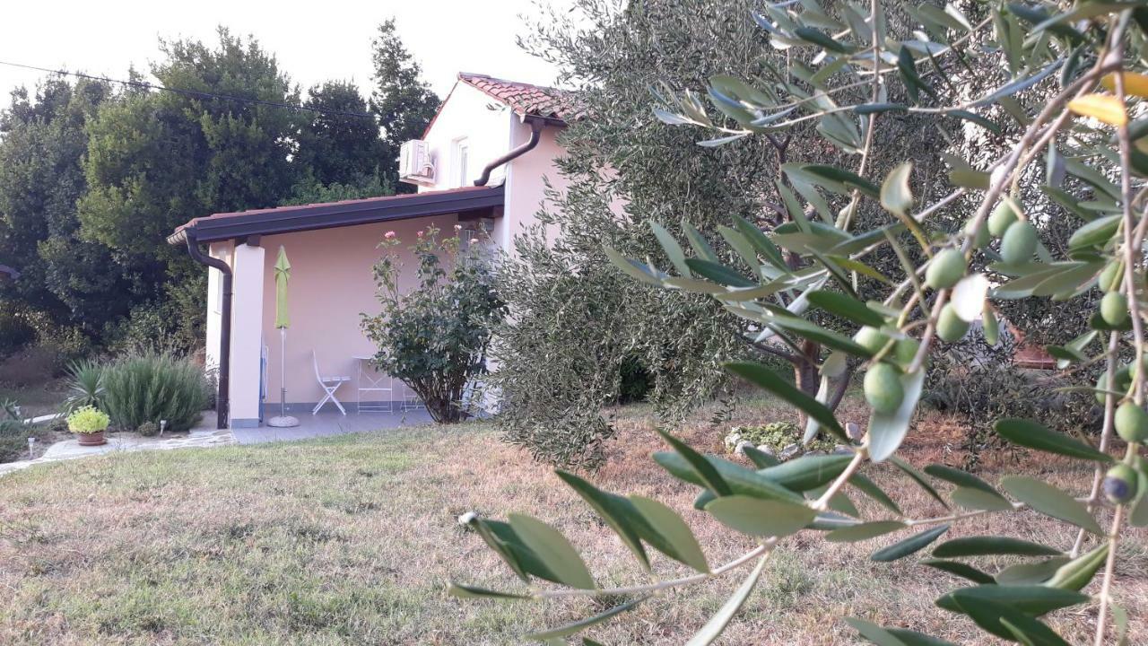 House Barizoni Villa Ankaran Luaran gambar