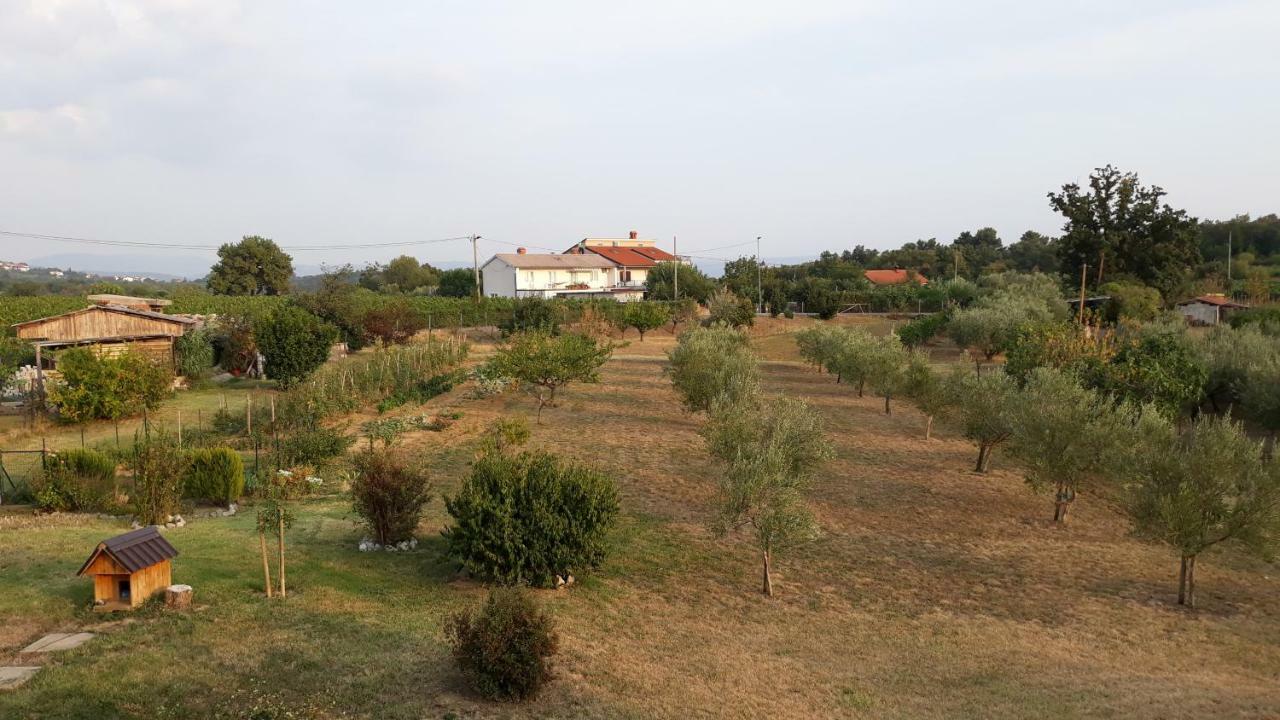 House Barizoni Villa Ankaran Luaran gambar